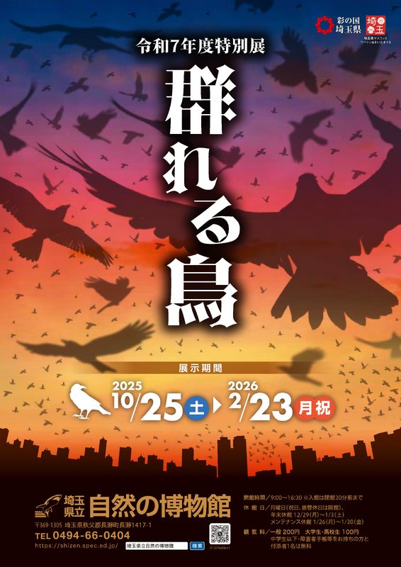 特別展「群れる鳥」チラシ画像