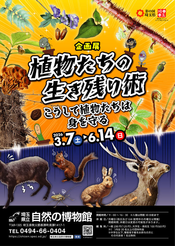 企画展「植物たちの生き残り」チラシ画像