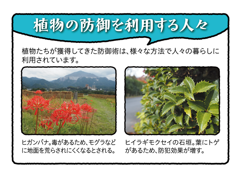 植物の防御を利用する人々