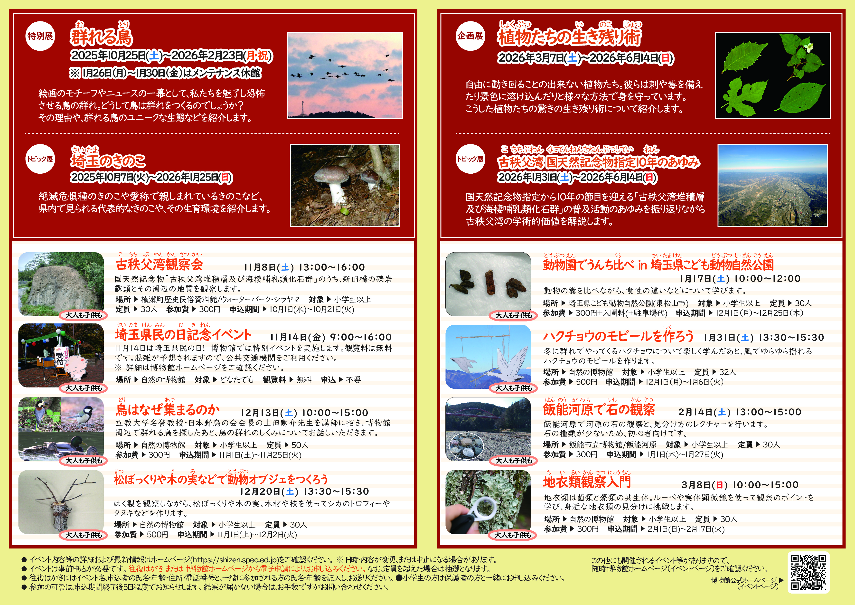 2025ミュージアムカレンダー（後期）