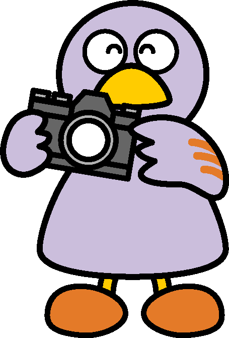 カメラマンコバトンの画像